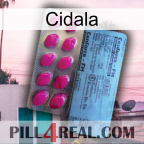 Cidala 35